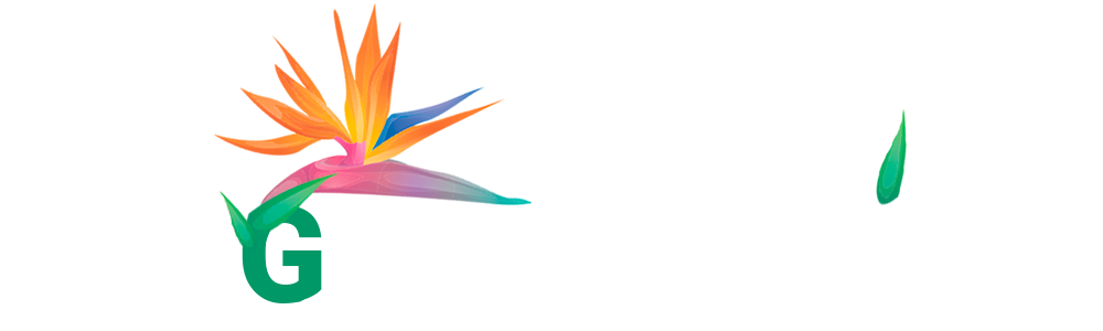 Moguez Adrien
