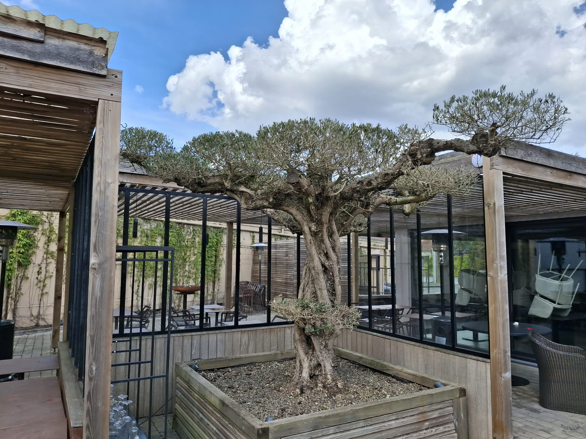 Plantation de fleurs et d’arbres